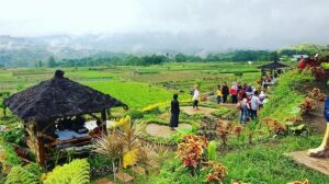 Desa Maju dan Mandiri: Angka dan Kisah Sukses dari Pedesaan Indonesia