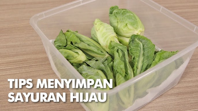 Sayuran Hijau