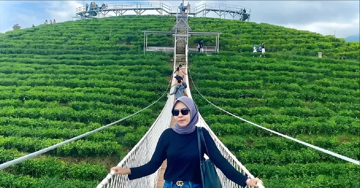 Kebun Teh Kemuning