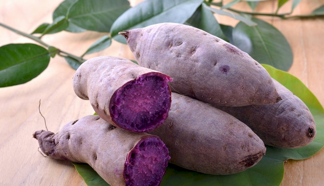 Misteri DNA Ubi Jalar