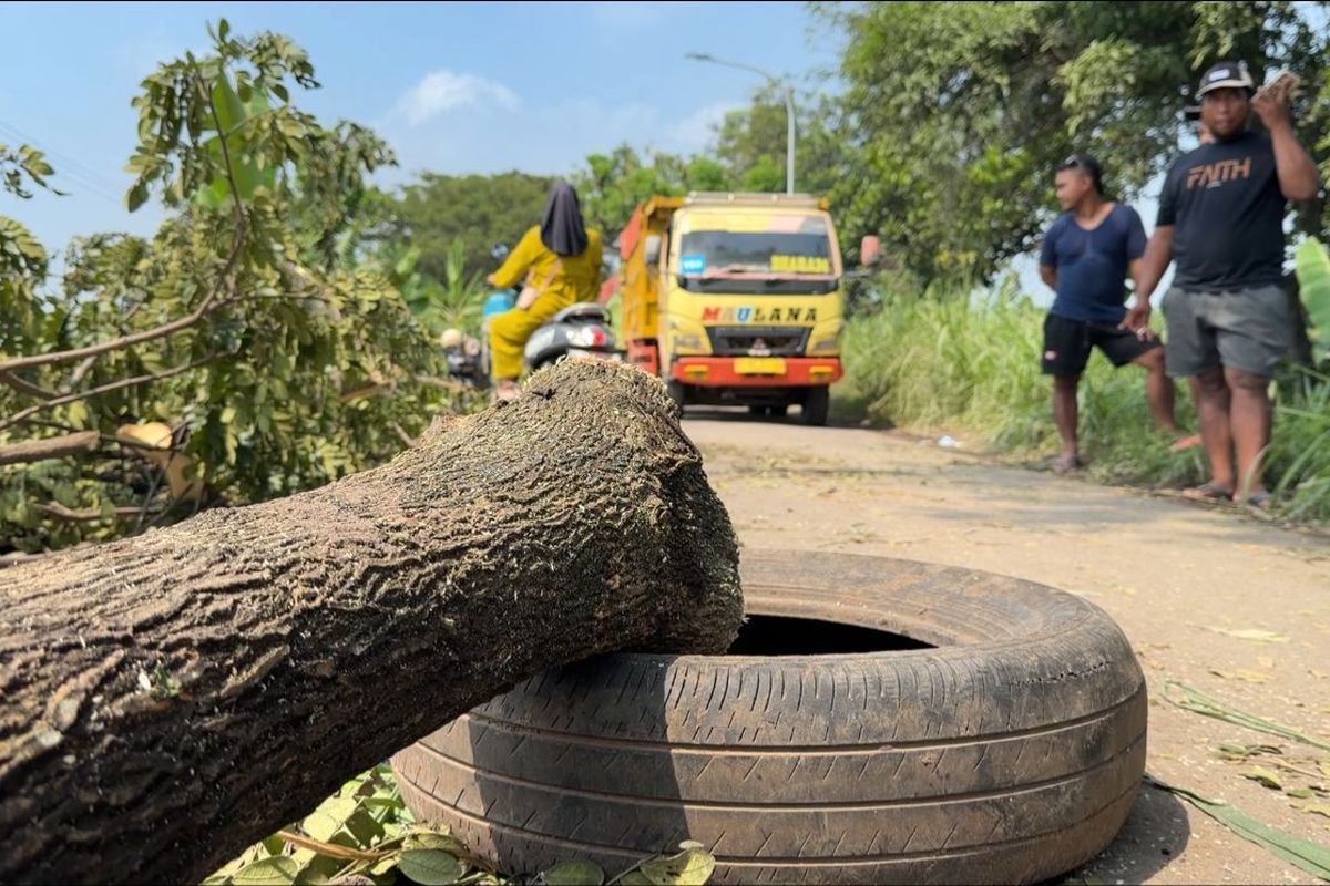 Dampak Aktivitas Tambang