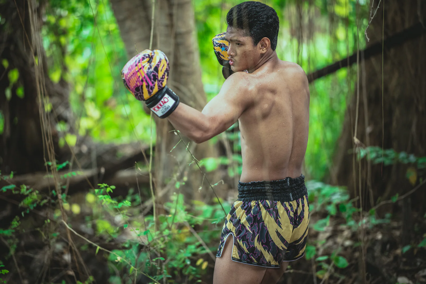 Seni Bertarung dengan Bayangan shadow boxing