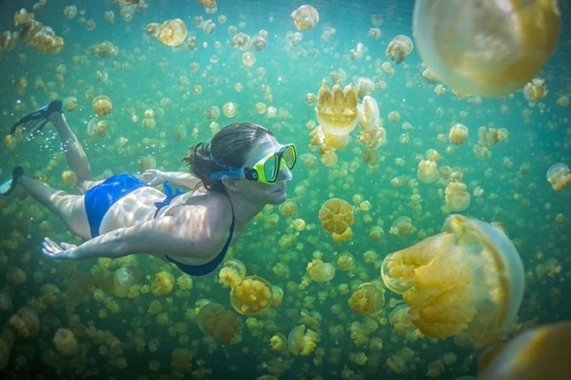 Pulau Kakaban